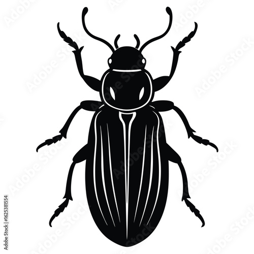 beetle  black silhouette vector