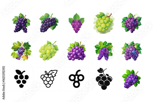grapes 9 icon set EPS 10 on white background Background