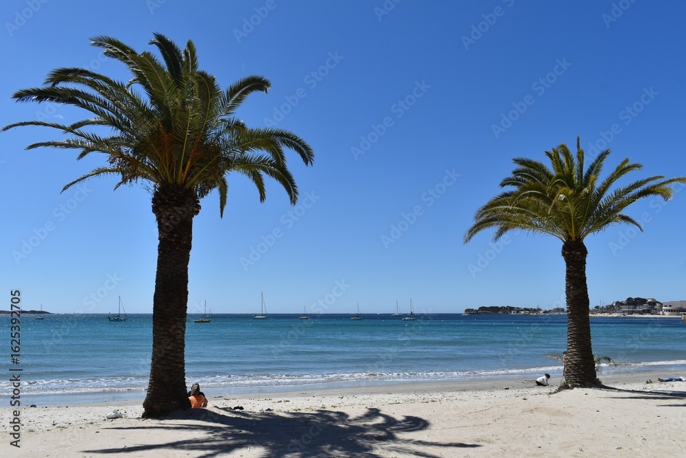 Fototapeta premium palmiers sur la plage