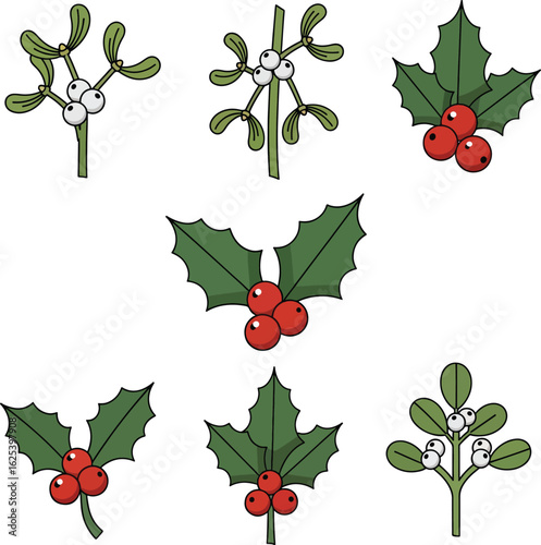 A set of cartoon illustrations of festive Christmas holly with red berries and mistletoe with white berries.
