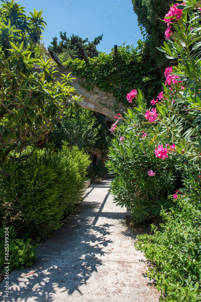 Obraz premium Medieval garden on the territory of the old town of Rhodes. Cypresses, shrubs, rhododendra, lemon trees, wildflowers