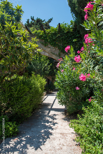 Medieval garden on the territory of the old town of Rhodes. Cypresses, shrubs, rhododendra, lemon trees, wildflowers