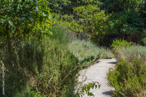 Medieval garden on the territory of the old town of Rhodes. Cypresses, shrubs, rhododendra, lemon trees, wildflowers