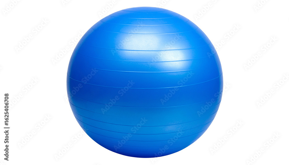 gym ball gym ball