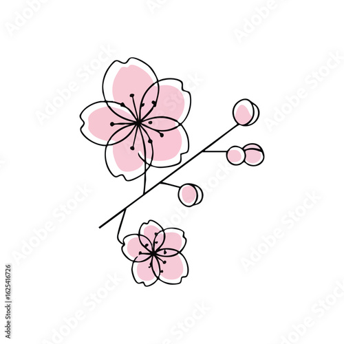(Pink Cherry Blossom Bloom on Black. A graceful floral design featuring roseate petals on a deep dark backdrop. This charming artwork symbolizes renewal and the ephemeral beauty of springtime.)