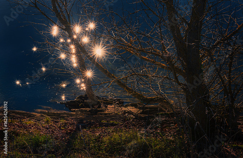 Reflections in the water and solar stars
