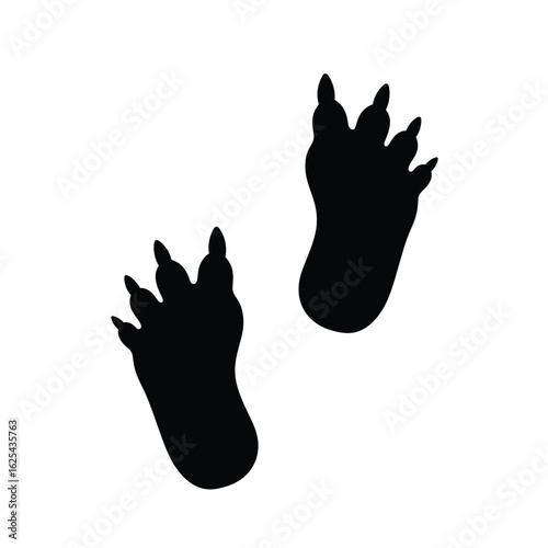 Black Raccoon Paw Prints on White Background Symbolizing Wildlife Animal Tracks and Footprints in Nature and Outdoor Environment