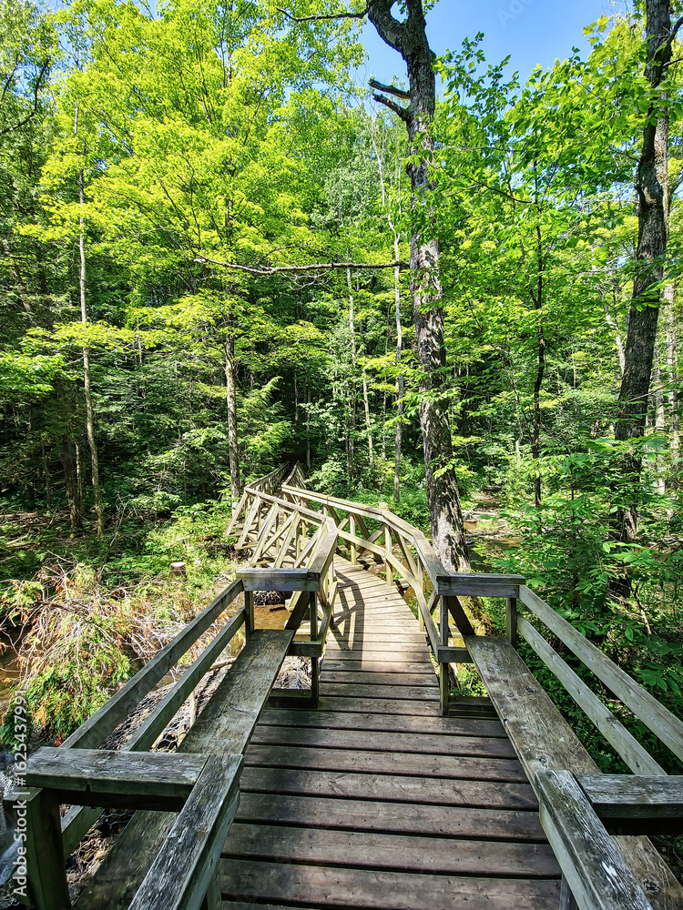 Obraz premium On a sunny day, a weathered wooden footbridge with railings and built-in seating stretches through lush green woods, blending rustic charm with natural beauty in a peaceful forest setting.