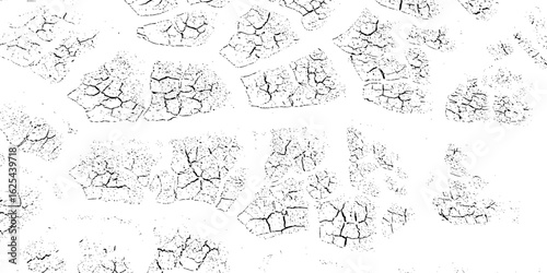 black and white Dry Cracked Earth Representing Drought and Arid Climate cracked surface with irregular shapes and dark lines forming patterns background or texture element.