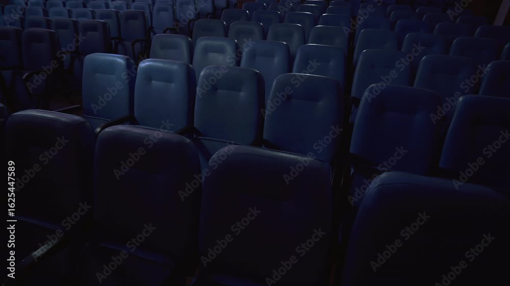 Rows of empty blue seats in a cinema illuminated by the flickering light from the screen. Interior view of the theater before the film starts. Rows of empty blue seats in a cinema illuminated by the flickering light from the screen. Interior view of the theater before the film starts.