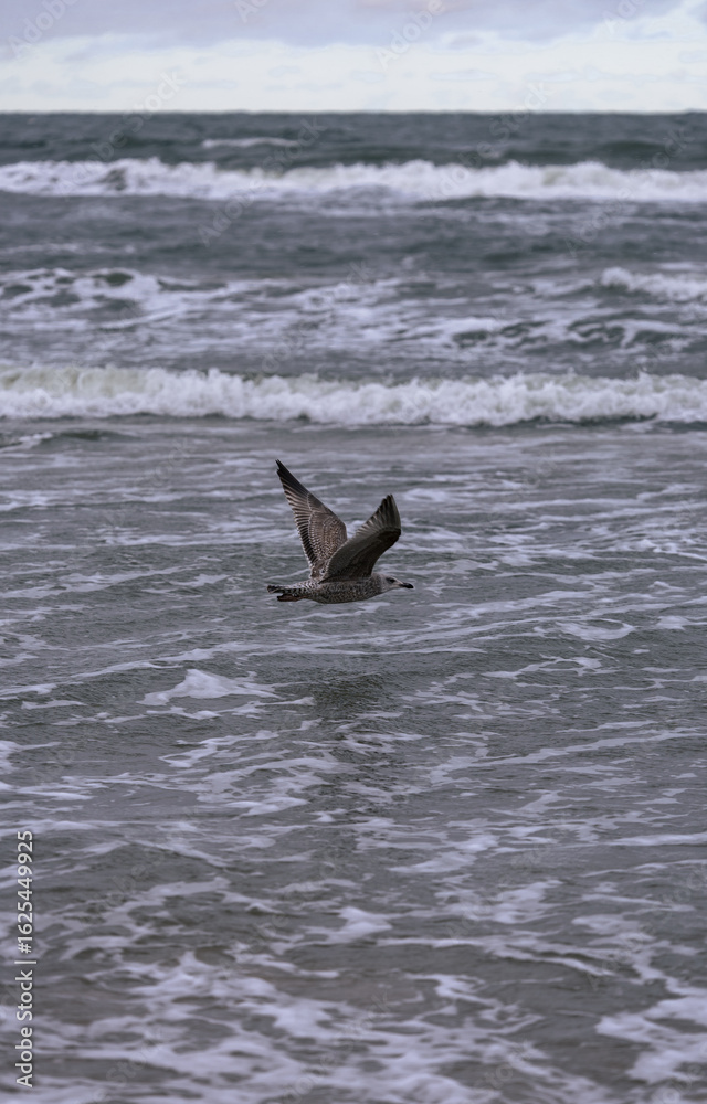 Fototapeta premium krajobrazy widoki