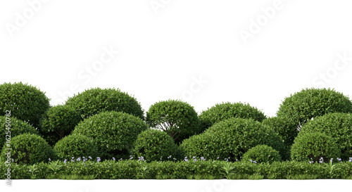 Photo of a lush row of green bushes and plants isolated on transparent background creates a natural and decorative border