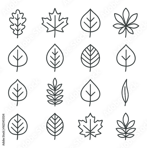 Nature linear icons set. containing oak, maple, birch, leaf, botanical, greenery, ecology, flora, foliage, garden.
