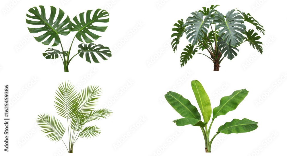 Naklejka premium Photo of a vibrant collection of tropical plants isolated on transparent background, perfect for adding a touch of nature to any space