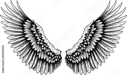 Tableau sur toile Two large eagle wings spread wide, highly detailed ink, with hand-drawn style