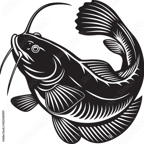 Black and white catfish illustration isolated on a white background