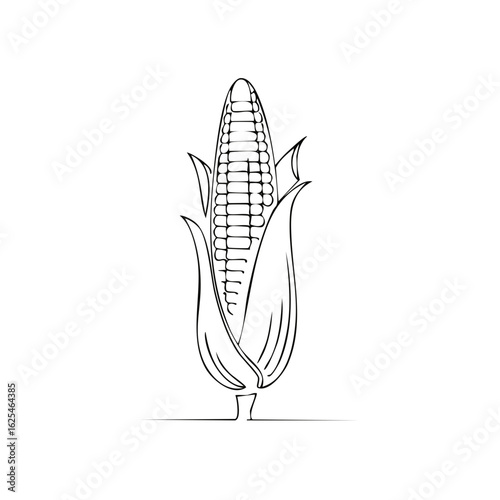 Single line drawing of a ripe corn cob with husk against a white background