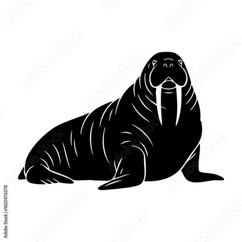 Vector art of walrus silhouette with tusks isolated on transparent background