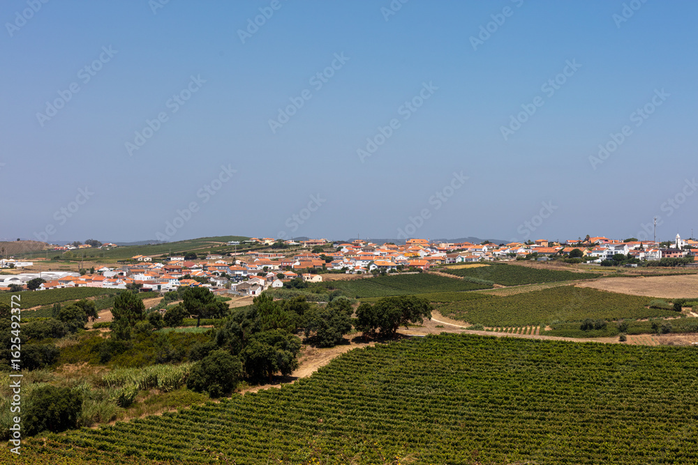 Naklejka premium Rolling Hills and Rural Village in Summer Light
