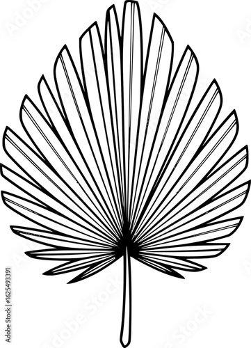 Fossil palm frond fan leaf outline icon vector
