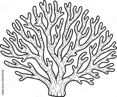 Fossil coral branching colony outline vector

