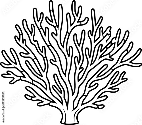 Fossil coral branching colony outline vector
