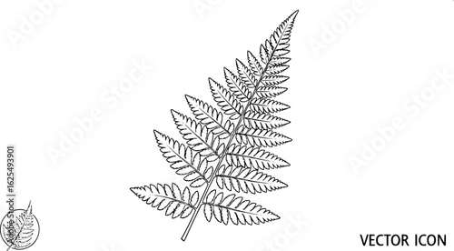 Fern fossil leaf imprint outline vector
