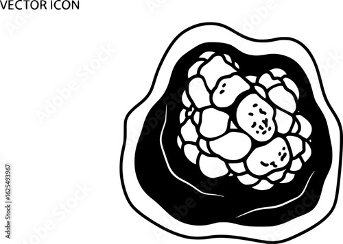 Coprolite fossil dinosaur dung outline vector
