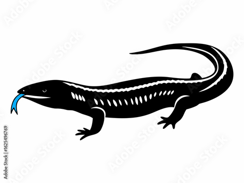 Illustration of a black lizard with white markings and a blue tongue on a white background image art created with generated ai