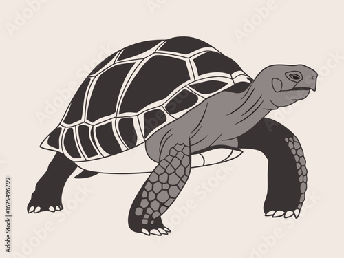 Illustration of a tortoise with a patterned shell and textured legs walking forward calmly and slowly created with generated ai