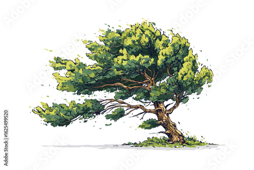 Windblown tree in hurricane isolated