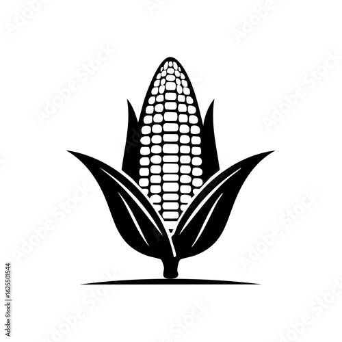 Black and white illustration of a corn cob with leaves and stalk