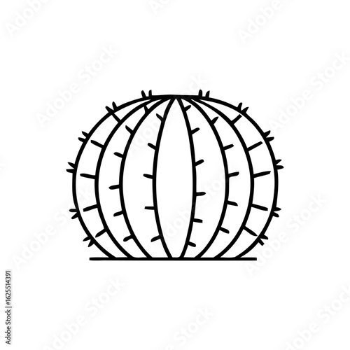 Isolated Round Cactus with Prickles Against White Background