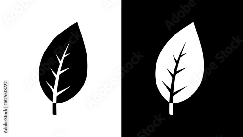 A stylized black and white leaf graphic, split down the middle, representing duality and balance in nature.