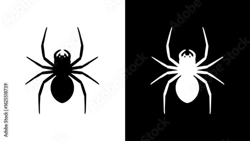 A stark black and white image showcases a spider, its eight legs splayed, against a contrasting background, evoking a sense of duality and mystery.