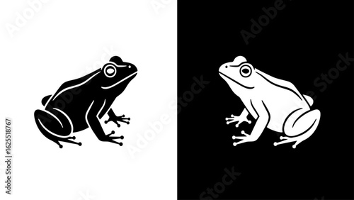 A serene frog sits peacefully, showcasing its unique texture against a stark black and white background.