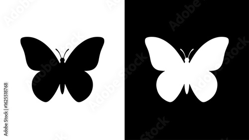 A black and white butterfly silhouette rests on a contrasting background, symbolizing duality and transformation.