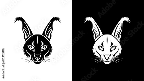 A caracal's intense gaze pierces the darkness, its sharp features and tufted ears highlighted against a stark black and white background, creating a dramatic and mysterious mood.