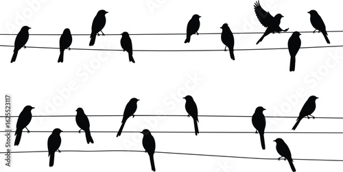 Silhouettes of birds perched on electric wires, flying bird, flock of birds, black vector illustration, peaceful wildlife, urban nature concept, minimal graphic design