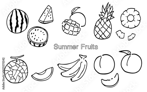 夏のフルーツの線画セット：塗り絵にも使えるシンプルなイラストレーション