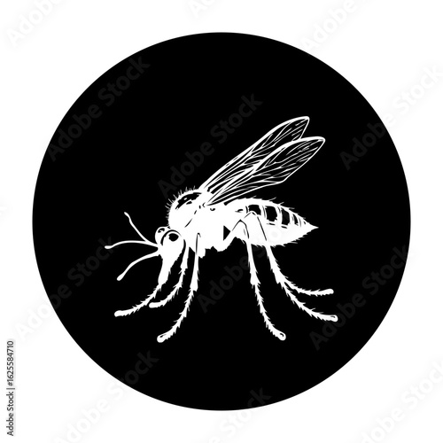 Mosquito insect vector illustration on a black background showcasing disease transmission vector image illustration mosquito vector