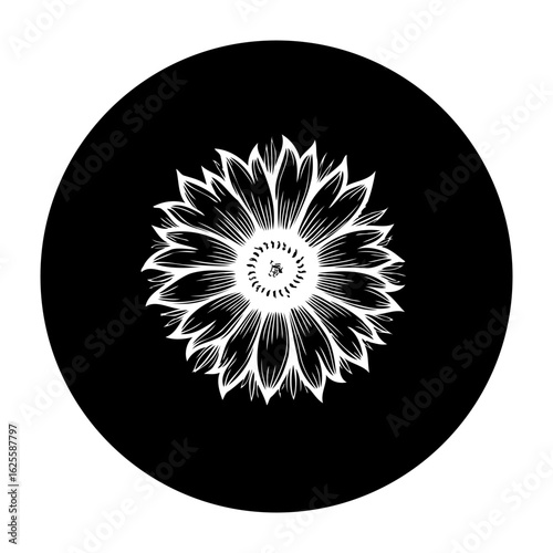 Elegant floral vector design: A sophisticated sunflower illustration with black background and white details creating a minimalist artwork