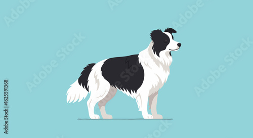 Elegant Border Collie Illustration: A Clean and Modern Depiction on a Calm Background