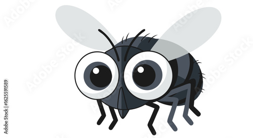 Whimsical vector illustration of a cartoon housefly character with oversized eyes and transparent wings looking directly forward