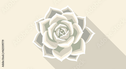Elegant succulent rosette illustration with soft shadows and subtle color gradients botanical garden inspiration botanical art design isolated