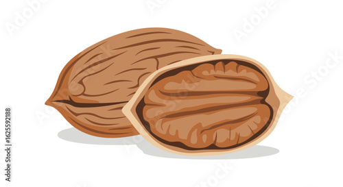 Depiction of Shelled and Unshelled Pecans Illustration for Food and Agriculture Content