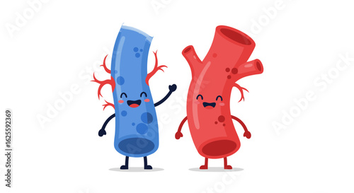 Cartoon vein and artery characters greeting each other in a lighthearted medical illustration showing vascular health and circulatory system function