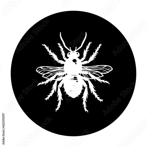 White insect illustration against dark background showcases intricate details and captures nature's beauty with artistic flair