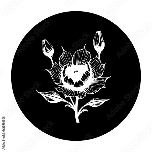 Elegant floral design with a black background featuring a white flower with unopened buds artistic presentation and appeal