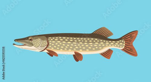 Stylized Northern Pike Illustration against Blue Backdrop Depicting Aquatic Wildlife and Angling Aesthetics for Nature Enthusiasts
